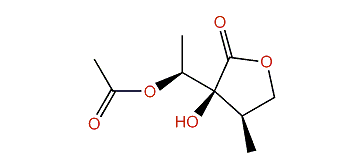 1'-O-Acetylithomiolide A